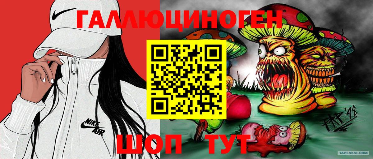 Донецк  Галлюциногенные грибы Cubensis  Вход с VPN 